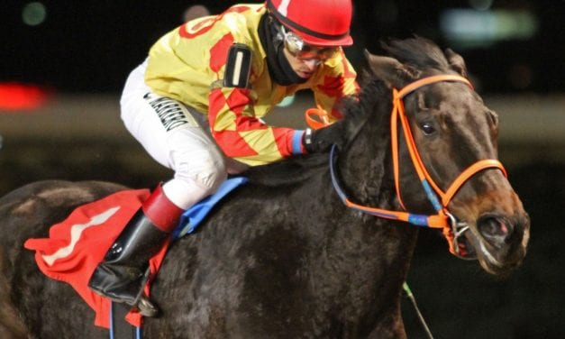 Ihearuknockin may take trainer Coker, owner Hemp to uncharted places