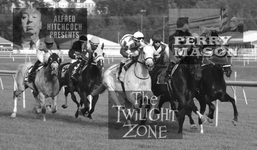 bw horses and tv shows