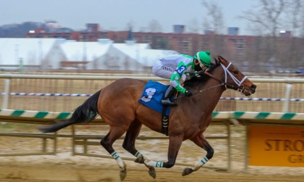 Favorite Tale, Bishop’s Pond impress in Laurel stakes