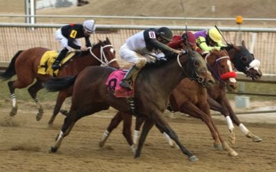 Midlantic stakeholders adopt equine safety “strategic plan”