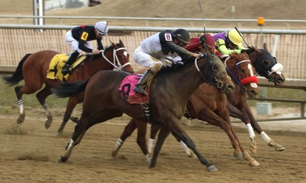 Trombetta: Big days “a chance to show what we can do”