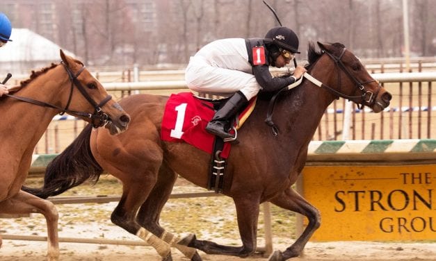 Finding Perfection finds maiden win at Laurel Park