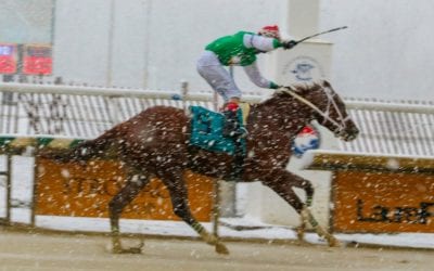 Maryland Jockey Club offering incentives for graded winners