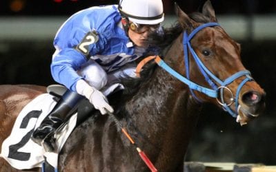 Three wins – but no Valentine – for trainer Javier Contreras