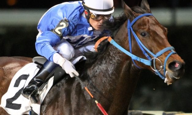 Three wins – but no Valentine – for trainer Javier Contreras