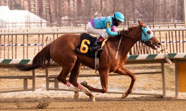 Talent no secret as Rumor Ridge powers to maiden win