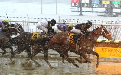 Laurel Park cancels Jan. 19 live card
