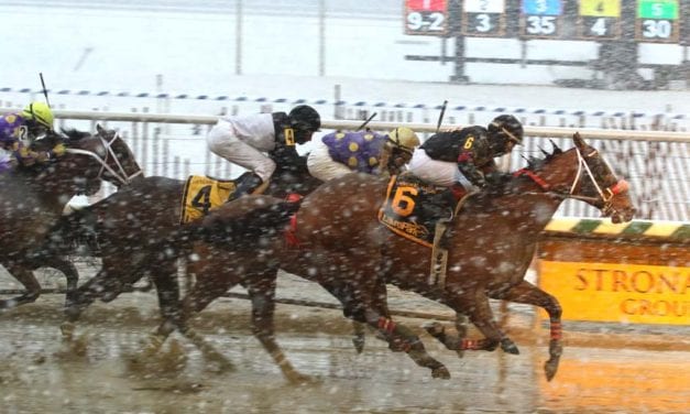 Laurel Park cancels Jan. 19 live card