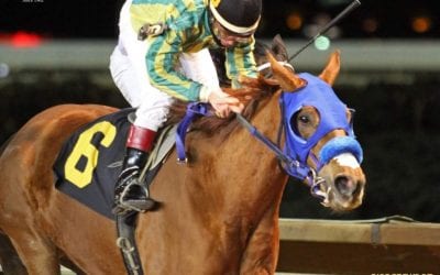 Trainer Kristy Gazzier: “Wouldn’t want to be anywhere else