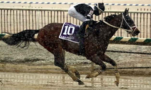 Laurel Park: Alternative trainer stats