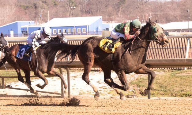 Now healthy, Daily News benefits from Laurel condition change