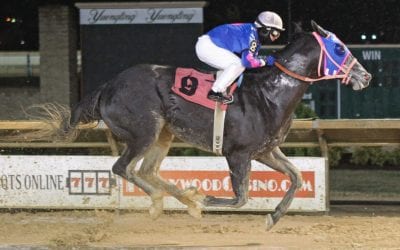 Elizabeth Meehan, Fairweather Friend hope to be on track in ’18