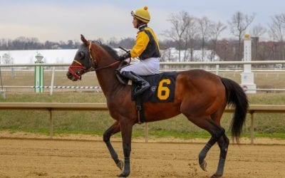 Jockey Jose Flores dies of injuries after Monday spill