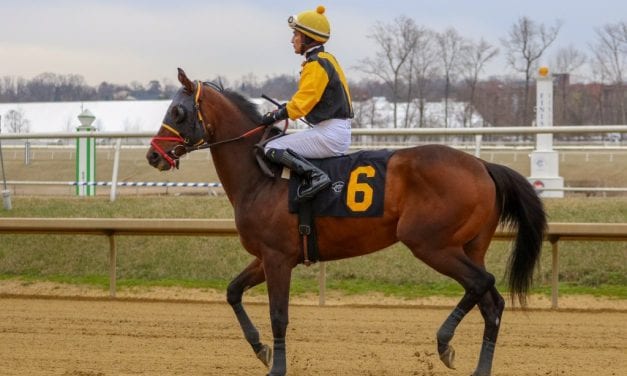 Jockey Jose Flores dies of injuries after Monday spill
