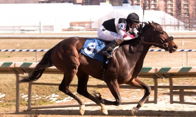 It Was Considered “couldn’t have done better” in maiden score