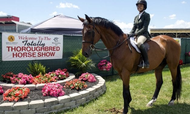 Annual Totally Thoroughbred show to take place July 7
