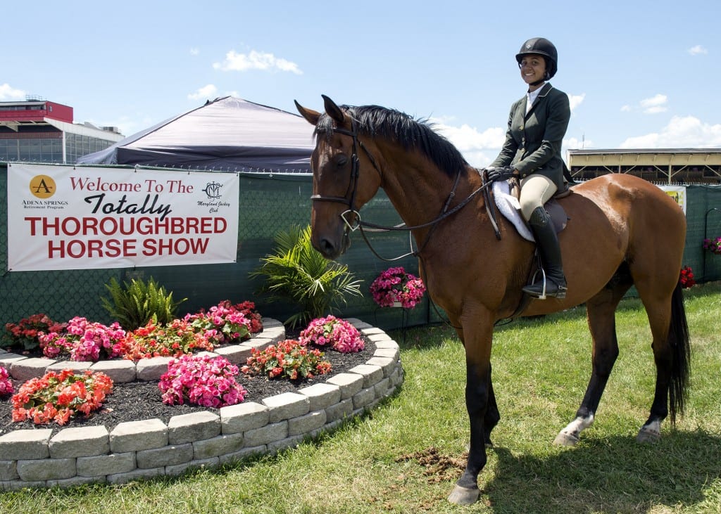 pimlico-totallythoroughbred(1)