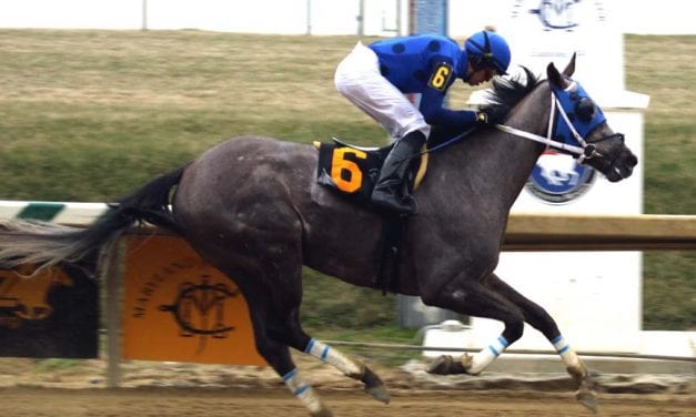 Smokinpaddylassie rallies to prompt Oaks dreams