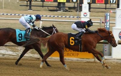 MTHA, MJC reach 11th-hour deal on way forward on Laurel track surface