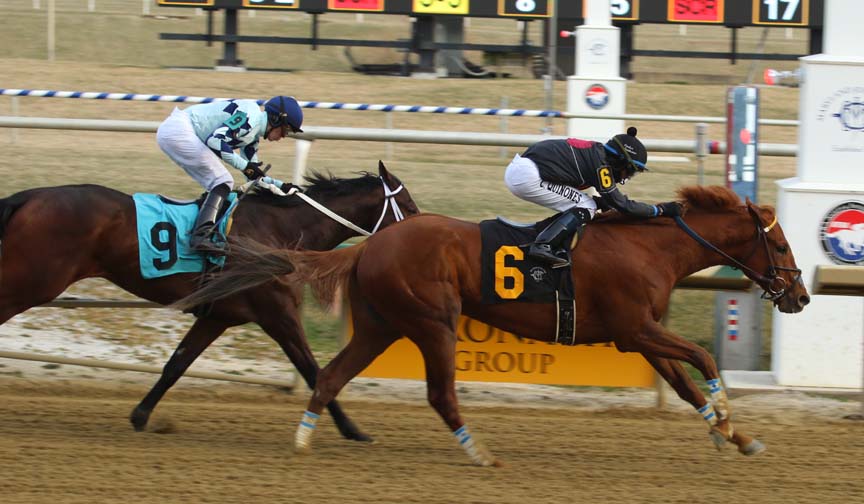 MTHA, MJC reach 11th-hour deal on way forward on Laurel track surface