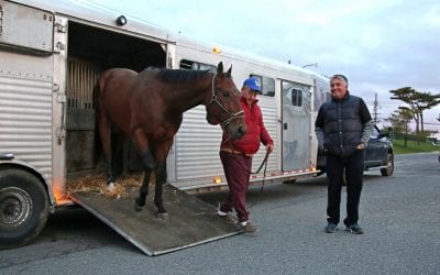 Sacco leads first wave of trainers to Monmouth Park for 2018