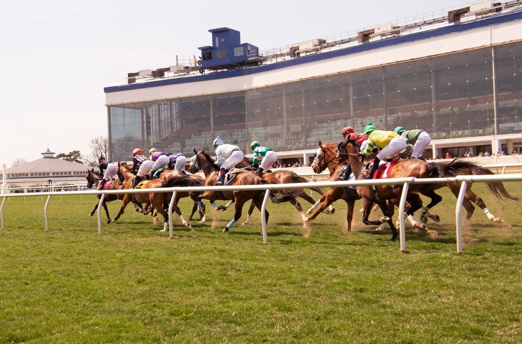 Laurel Park to take all weekend races off the turf