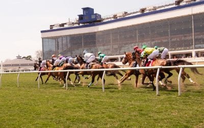 Jonathan Thomas hoping for Delight-ful Selima