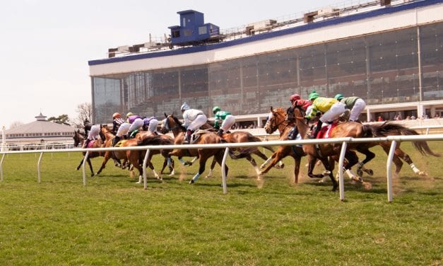 Win Win Win, Smarty Jones, and more: The week in social media