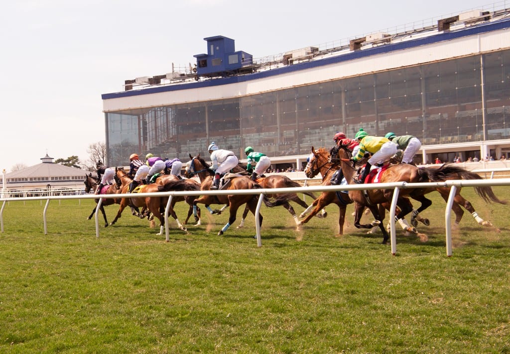 1st turf race of the season Laurel Park