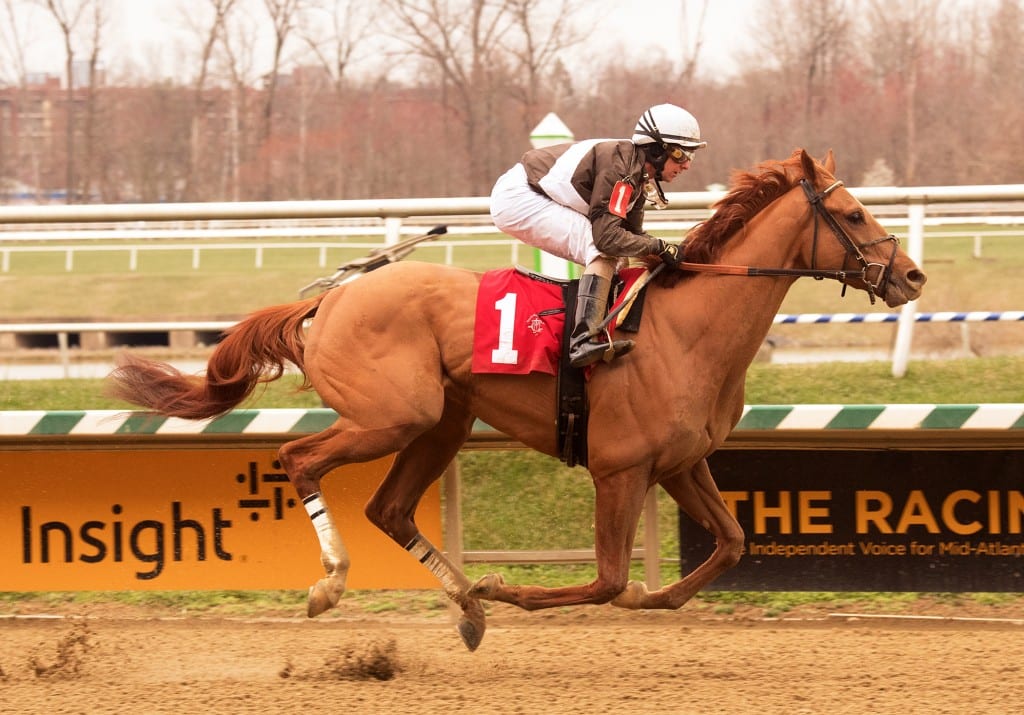 Cordmaker decisively won the allowance feature at Laurel Park. Photo by Jim McCue, Maryland Jockey Club. Cordmaker