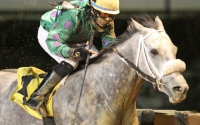 For trainer Hanagan, getting a Court Date pays off