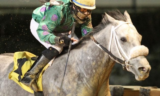 For trainer Hanagan, getting a Court Date pays off