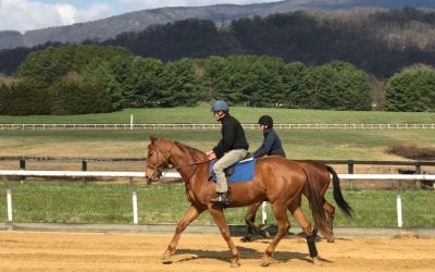Virginia residency program providing full barns, and a future