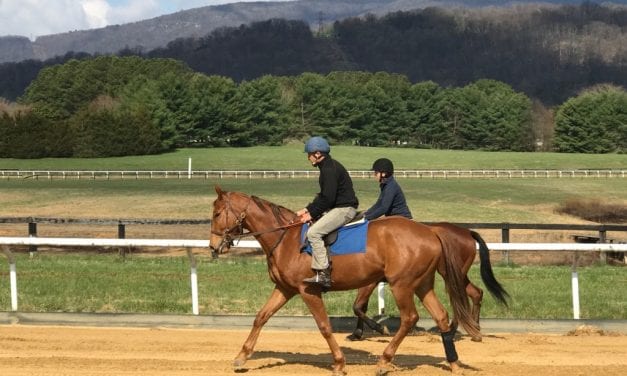 Virginia residency program providing full barns, and a future