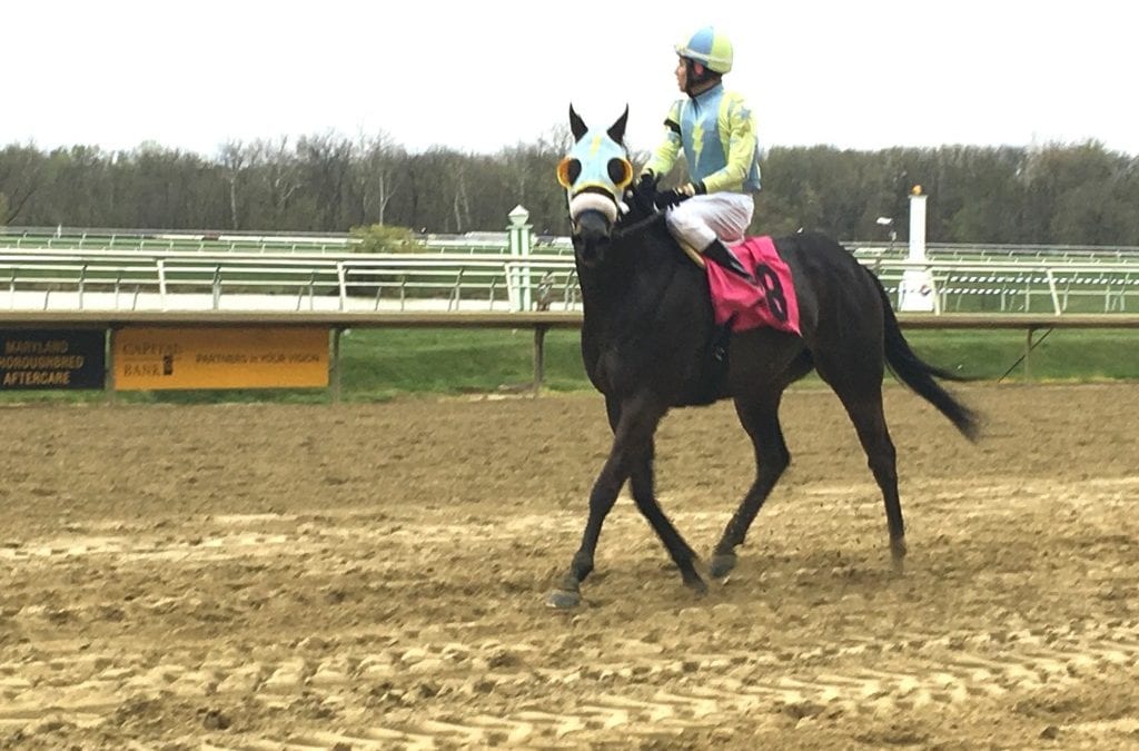 Laurel Park gets Commission OK to resume racing