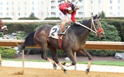 Lake Ponchatrain looks for profitable prep for Dance to Bristol