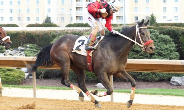 Lake Ponchatrain provides satisfying Dance to Bristol win