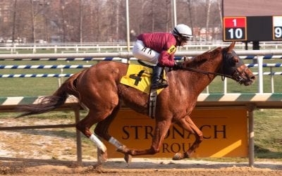 Weather to force moving of three MATCH Series races