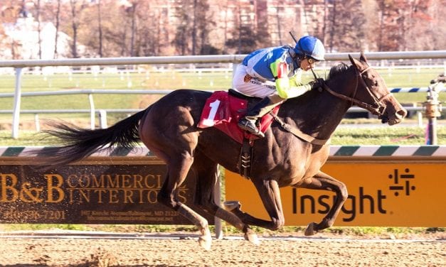 Fillies vie for Black-Eyed Susan spot in Weber City Miss