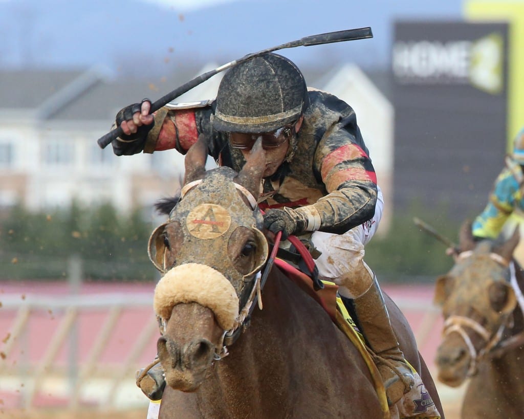 SOMETHING AWESOME – Charles Town Classic G2 – 10th Running – 04-21-18 – R11 – CT – Inside Finish Something Awesome
