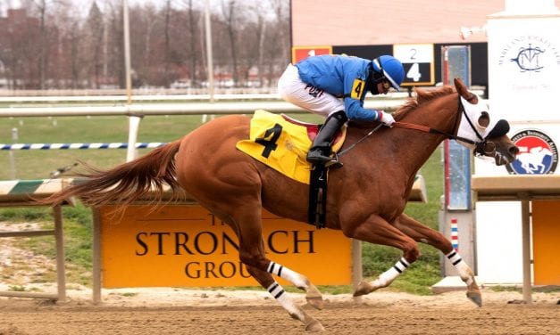 Yes I Dance skips to win on strange day at Laurel park