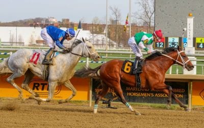 Tesio Stakes tops Laurel Park Labor Day card