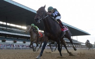 Diversify “couldn’t be doing better” heading to CT Classic