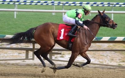 Another Broad, Goodonehoney to clash in Obeah