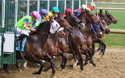 Injury risk factors cited as safety of horse summit ends