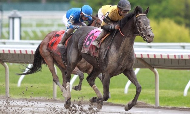 Berned rallies for Serena’s Song triumph