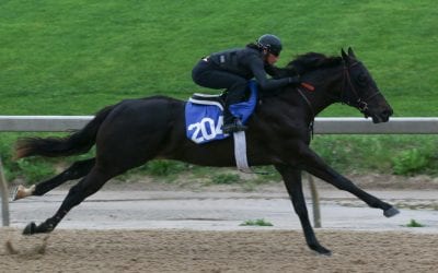 Fasig-Tipton outlines covid-19 safety steps