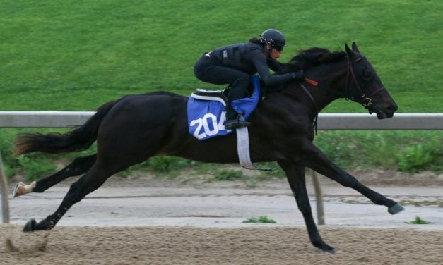 Fasig-Tipton: Opening session “solid” as More Than Ready colt stars