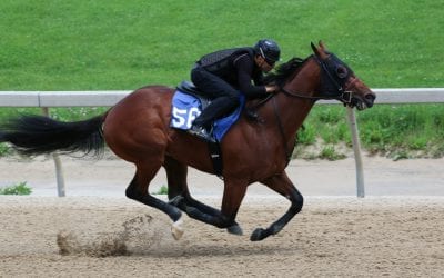 Million-dollar horse lights up Fasig-Tipton sale