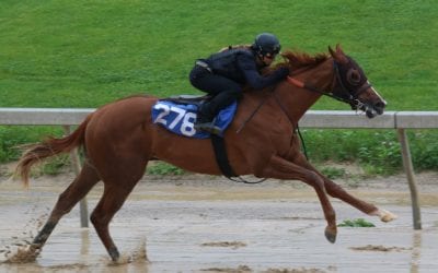Fasig-Tipton 2yo supplemental entries online